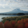 今朝の富士山