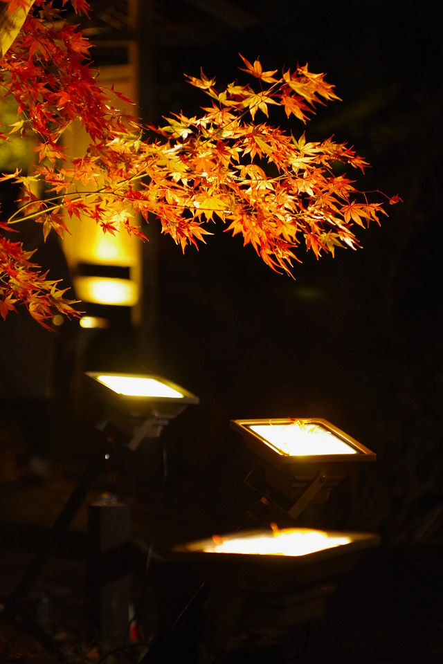 LEDに照らされる