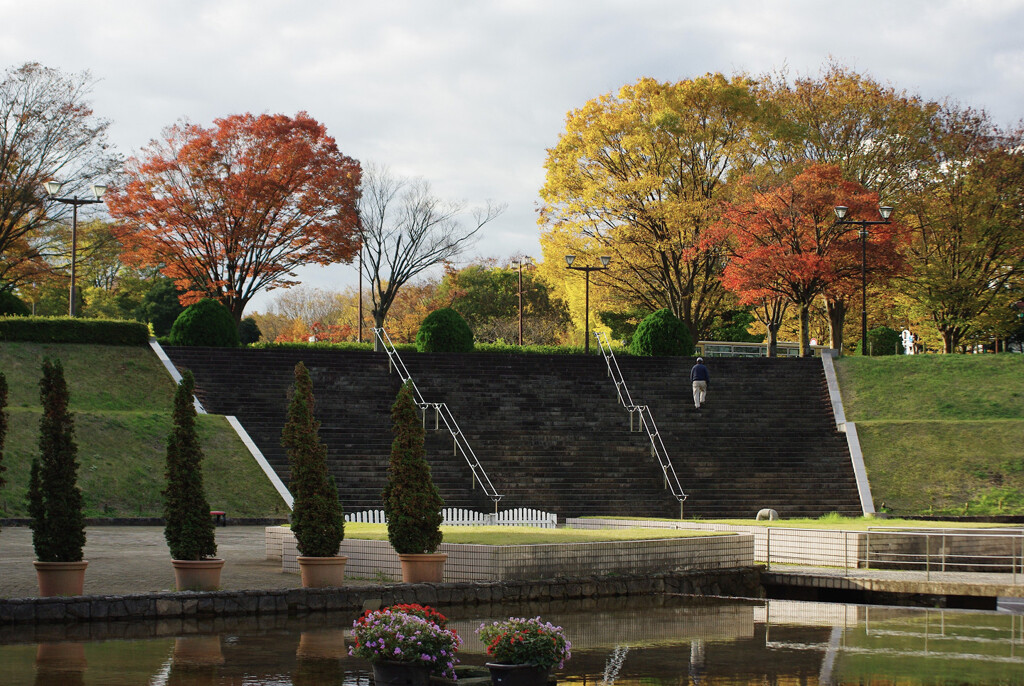 朝の公園