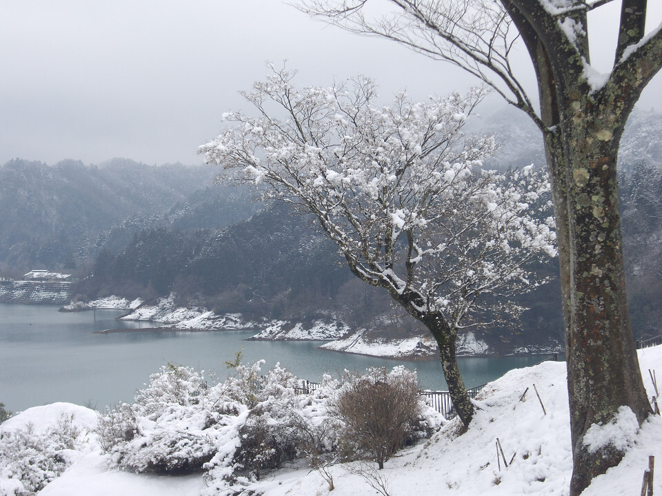 雪を見に来た2