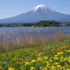 今日の富士山1