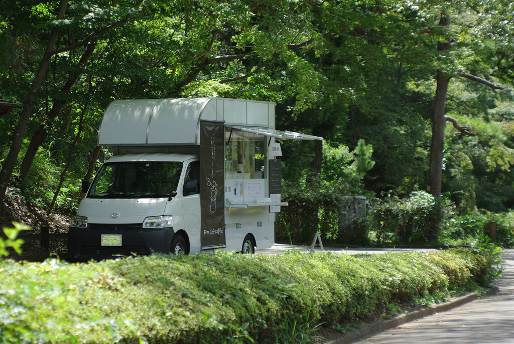 晩夏の公園