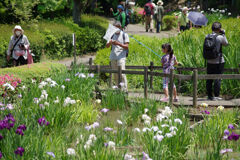 公園風景