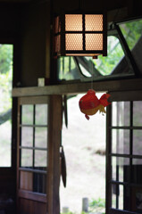 茶屋のキンギョ