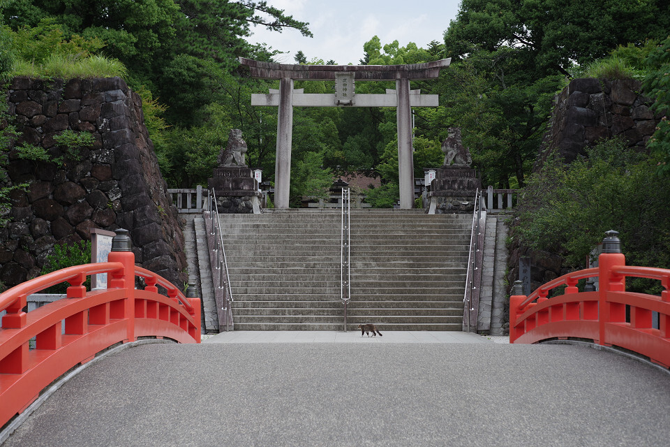 人がいない間に