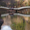 公園デート
