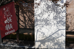 もみじのスクリーン