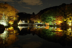 紅葉ライトアップ1
