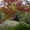 茅葺屋根と紅葉