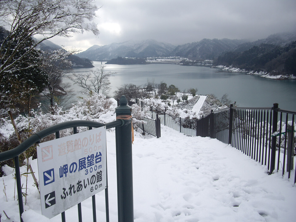 雪を見に来た