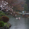 雨の公園