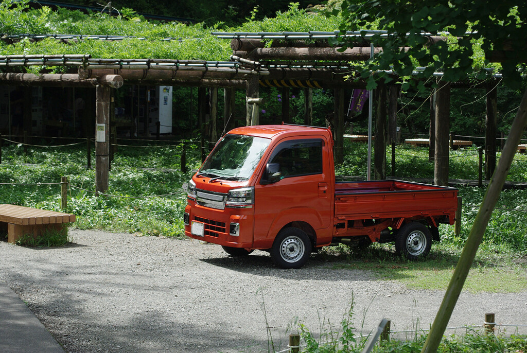 公園のスーパーカー