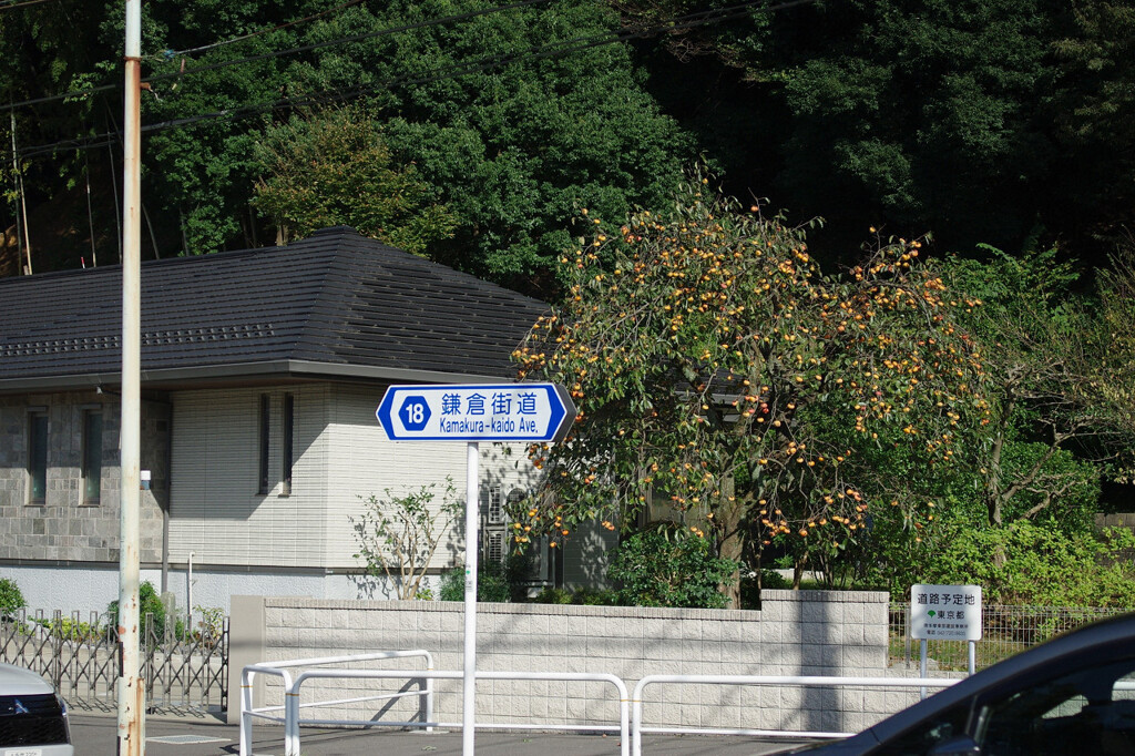 鎌倉街道の秋