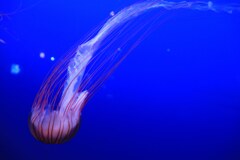 IMG_20210423_163018_279