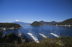 富士山と駿河湾