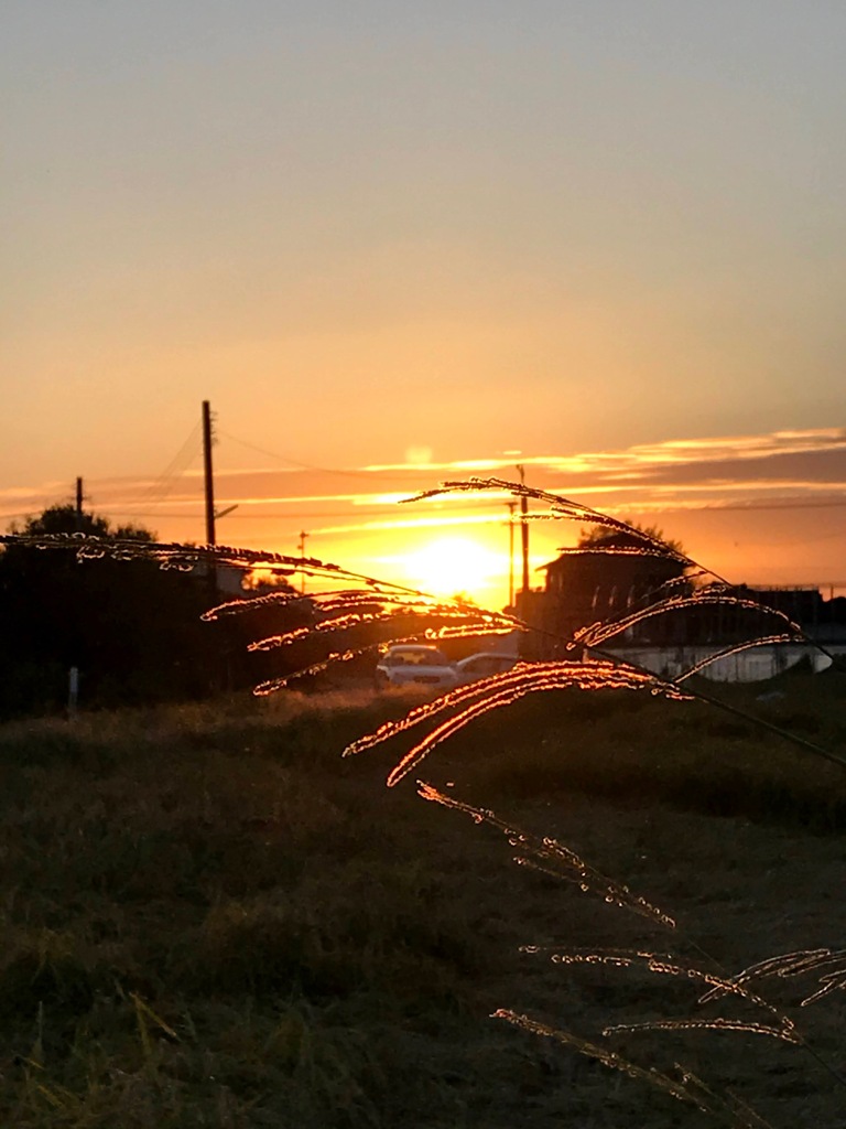 夕暮れ