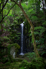 成田山公園の滝