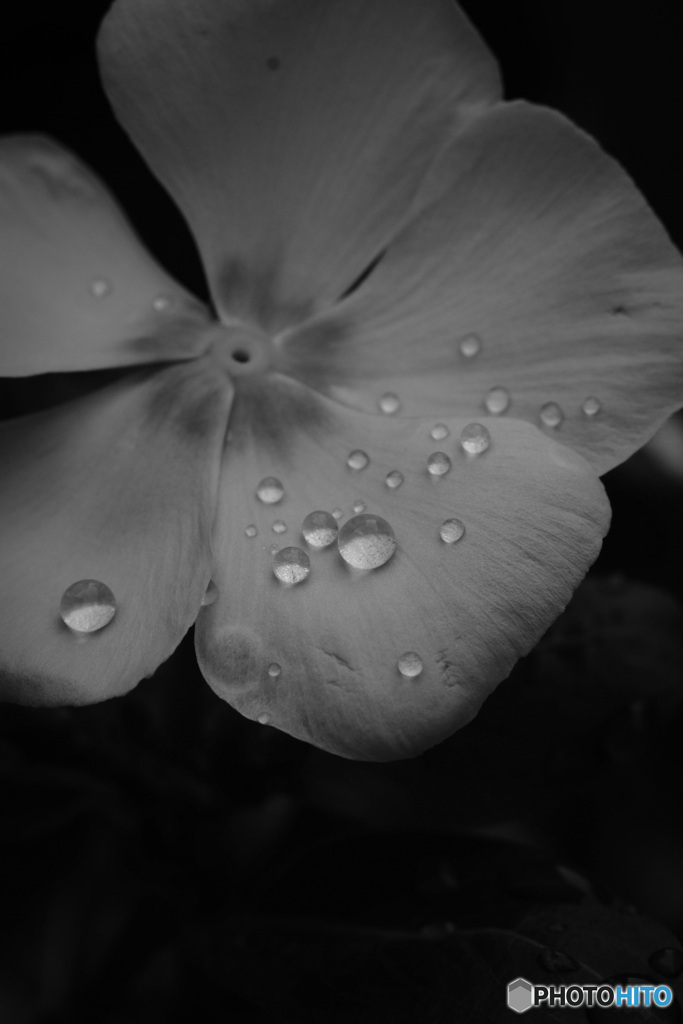 雨上がり