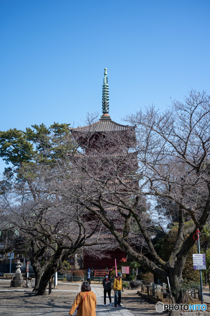 法華経寺