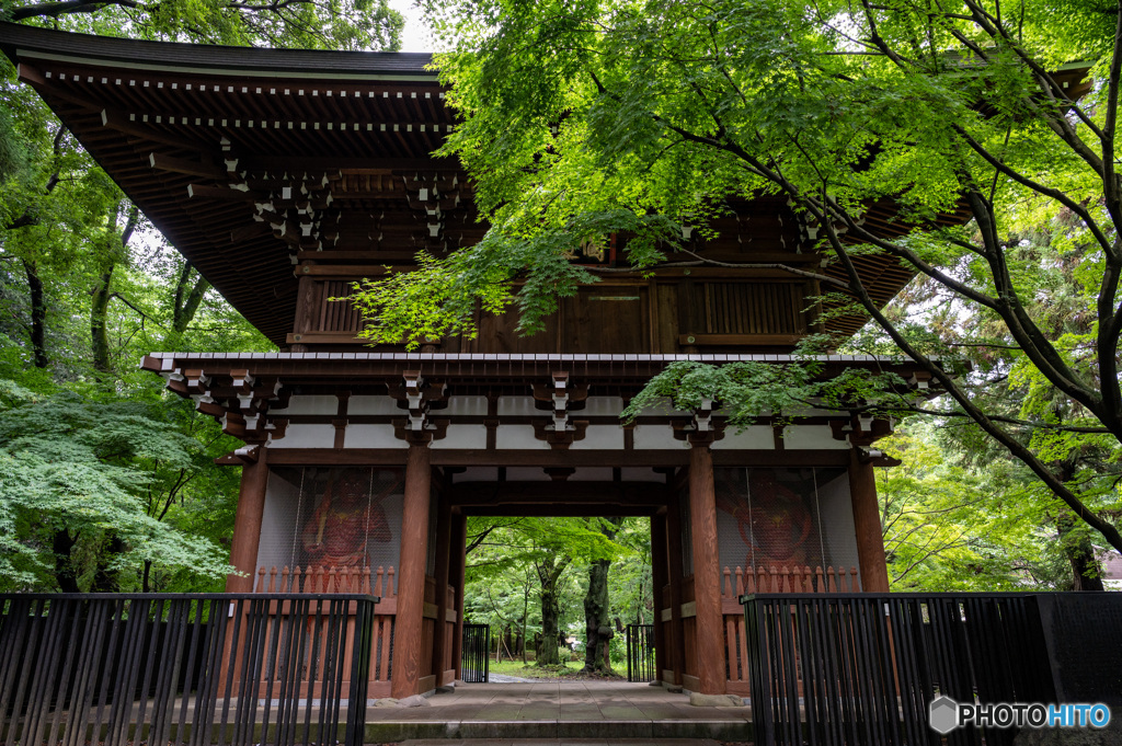 東漸寺の門