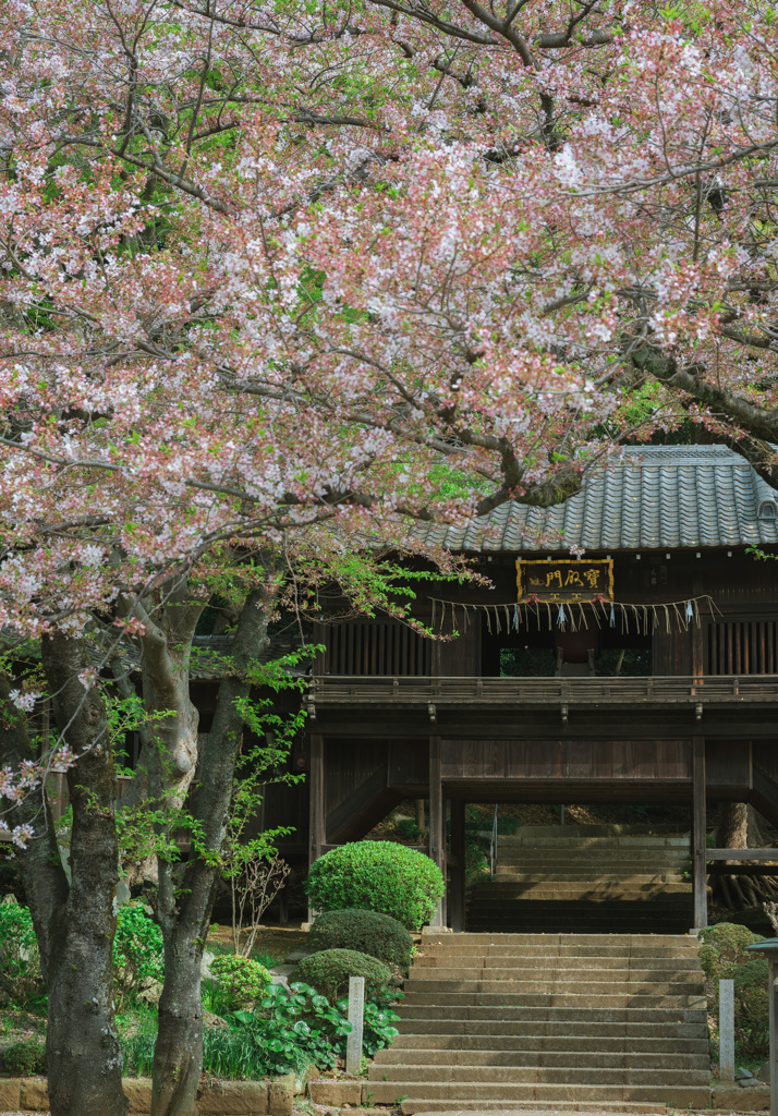 中山法華経寺