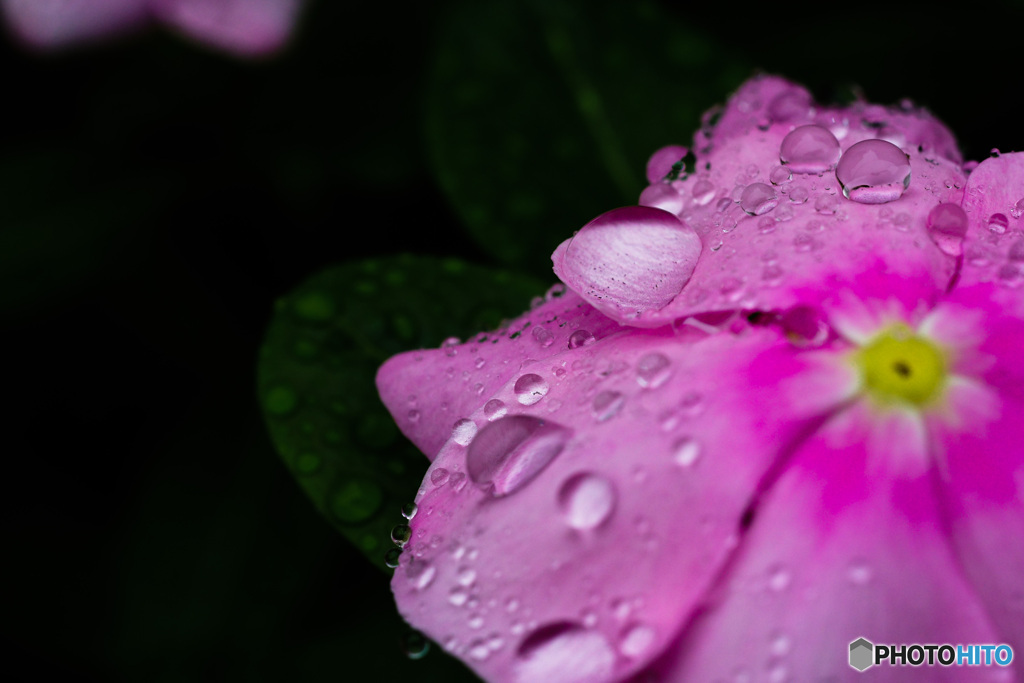 雨降り