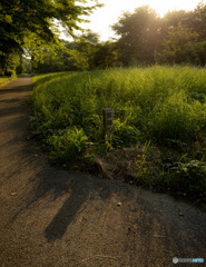 夕方の風景