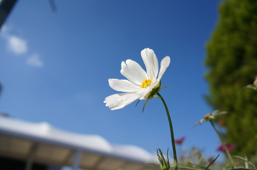 DSC00179
