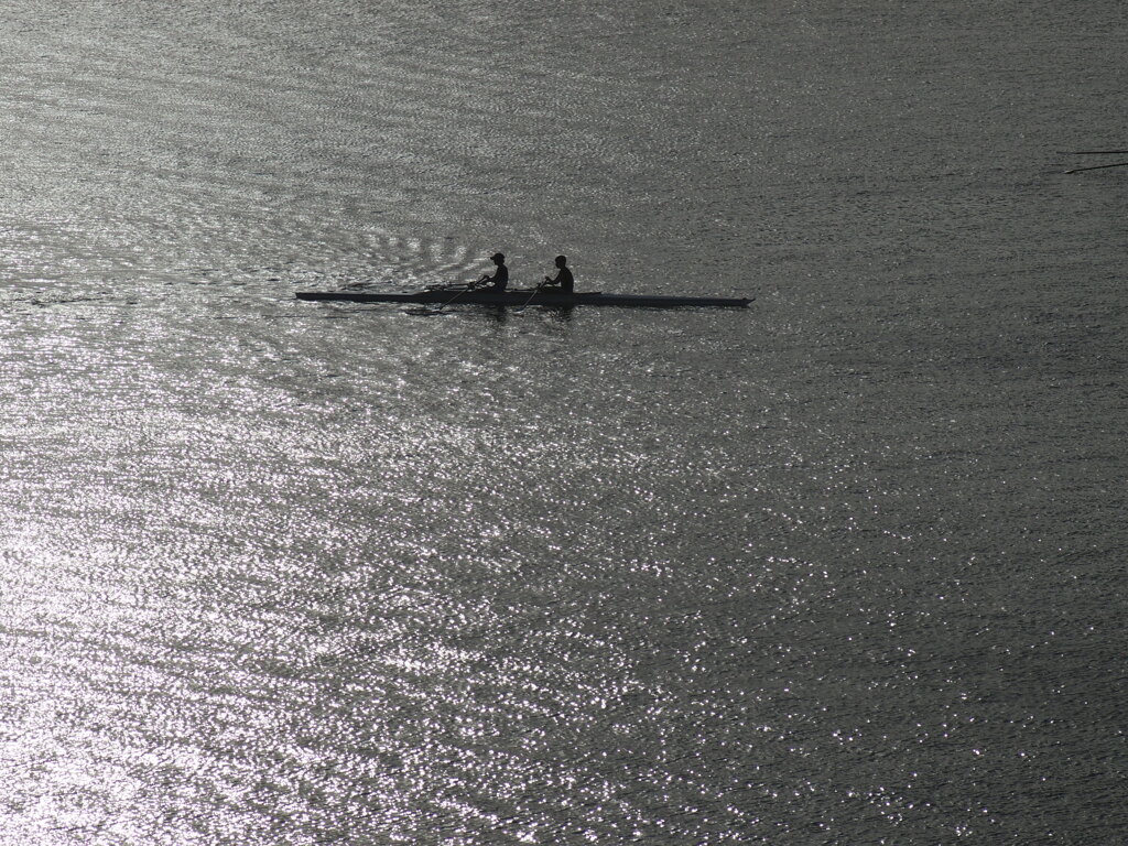 浮かぶ