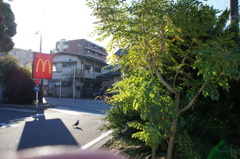 朝マック