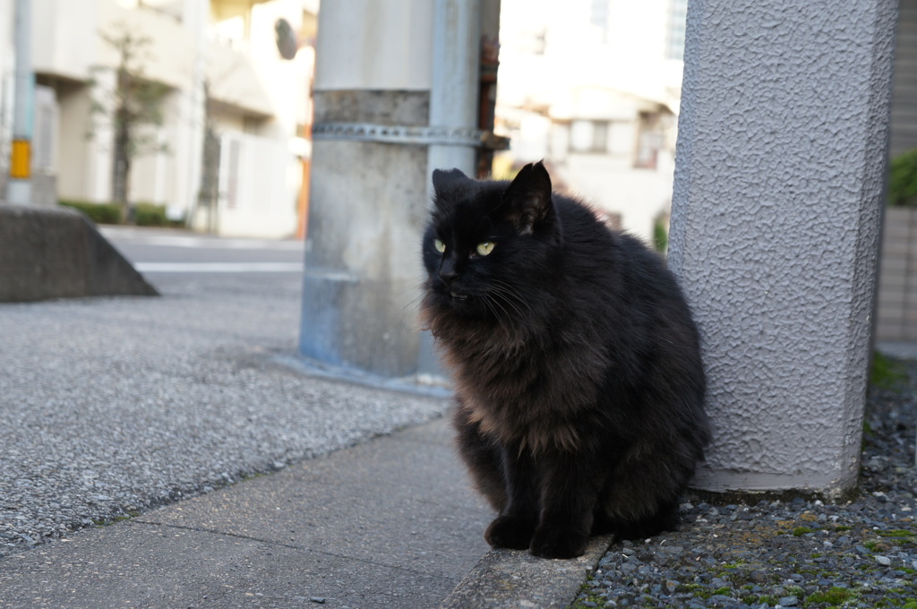 DSC00323