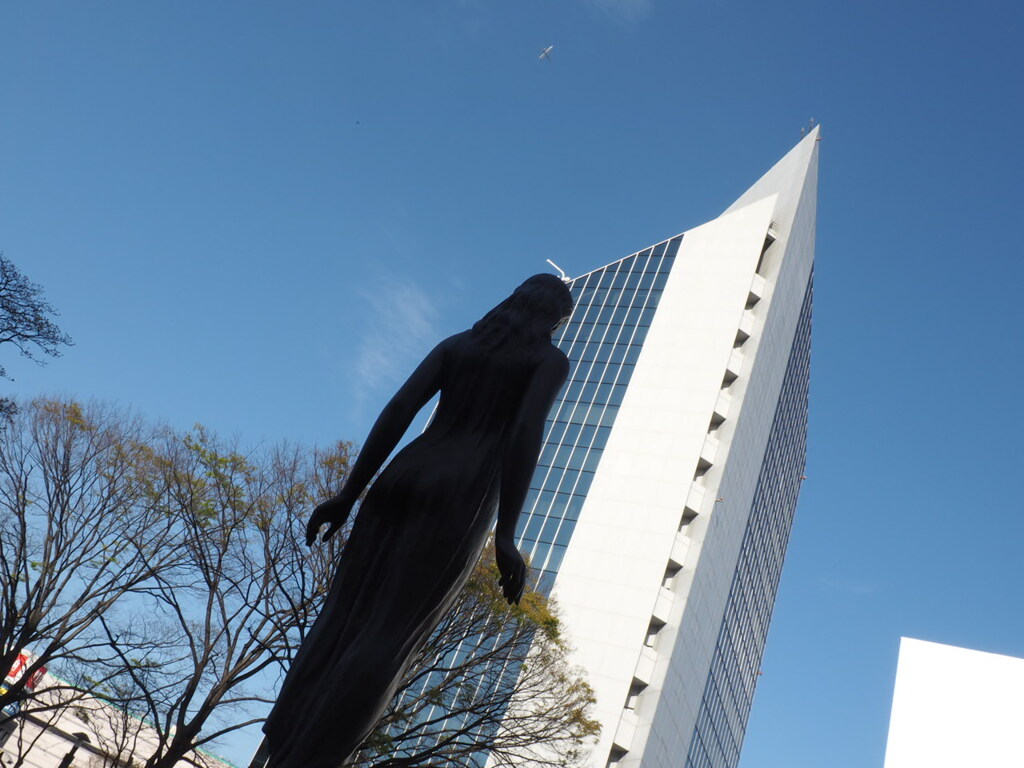 アオリ画