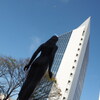 アオリ画