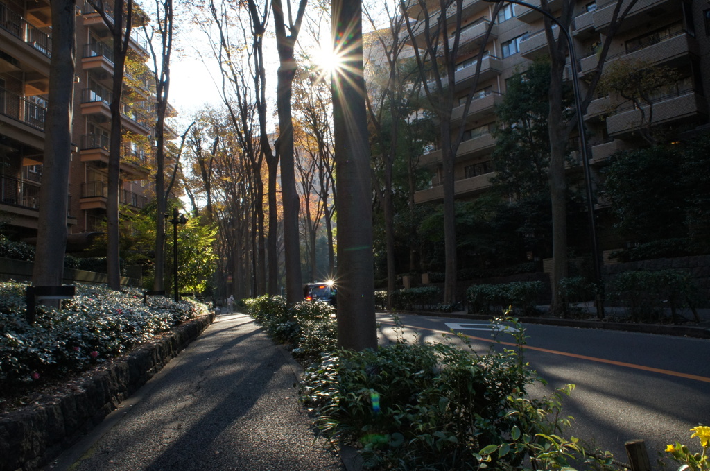 午後の通り道
