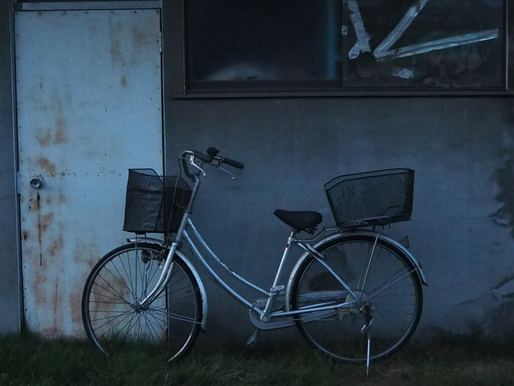 買い物用？