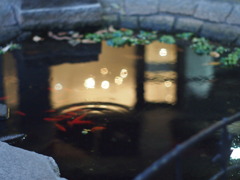 小赤