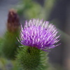 DSC09340