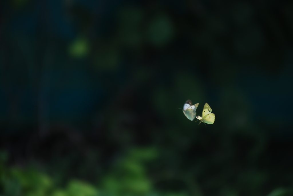 2舞