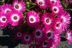 DSC00380
