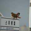 DSC00150