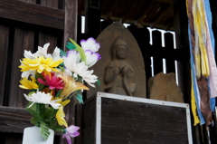 仏花高　（ぶっかだか）