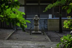 とりまパシャリ！