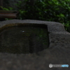 神社にて！