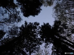 暗がり公園