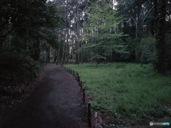 良くない噂が立つ公園！