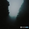 dark forest!