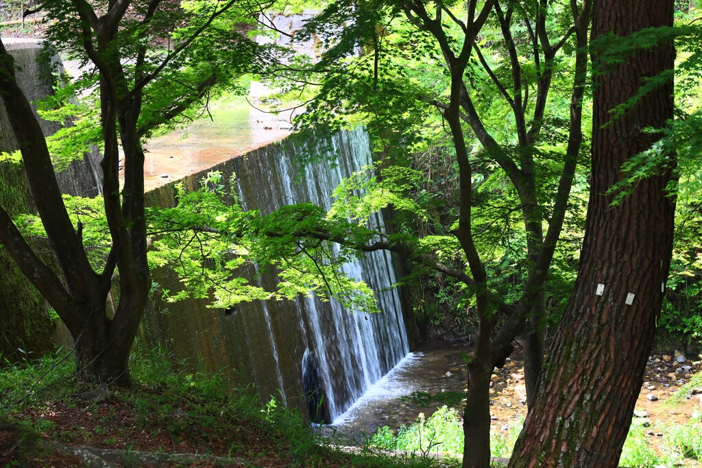 小さな滝