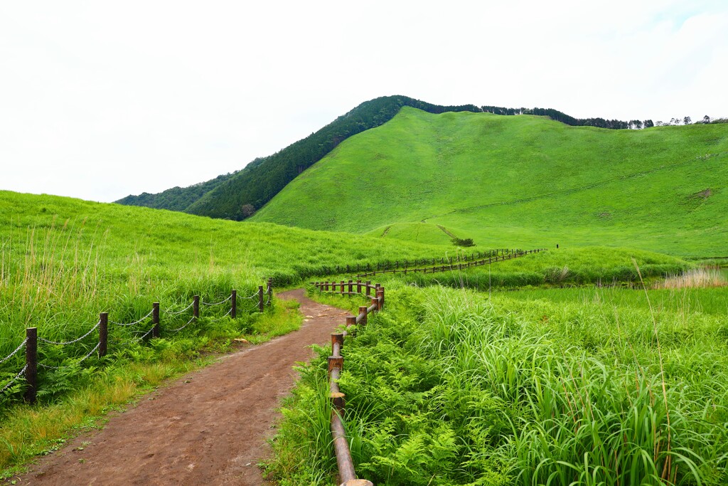 曽爾高原
