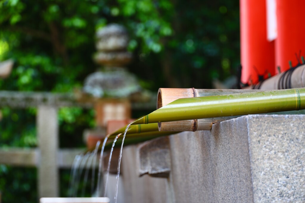 石清水天満宮での癒し