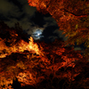 朧な月と紅葉